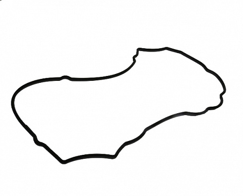 Прокладка клапанной крышки VICTOR REINZ 715259600