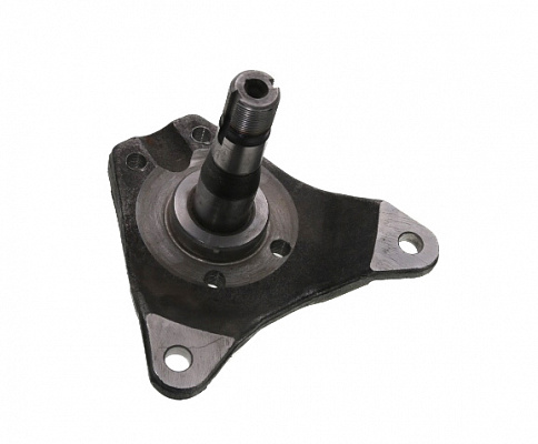 Корпус цапфы 3110 (бесшкворневая подвеска)