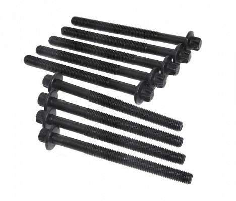 Болт Ларгус головки 16-ти клапан.(10шт.)
